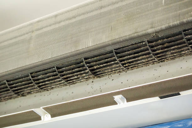 Best HVAC System Cleaning  in Brewster Hill, NY